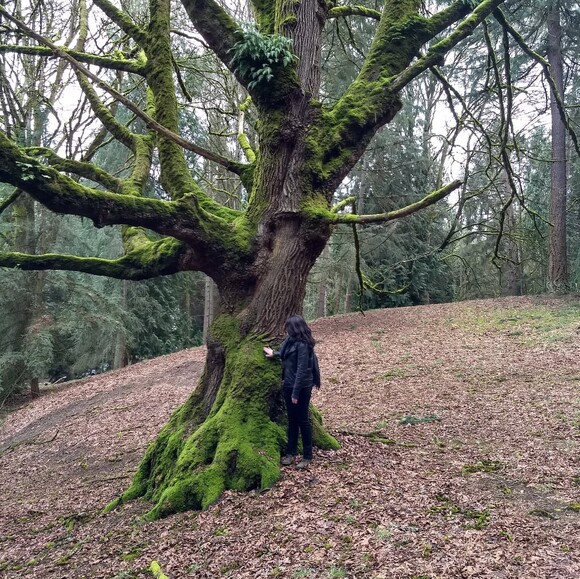 woodlandwitch